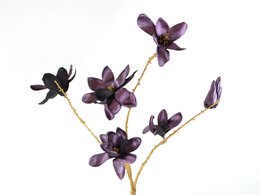 Magnolien-Zweig, 74cm, glanz-braun