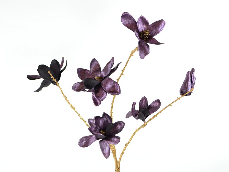 Magnolia gren, 74 cm, skinnende brun
