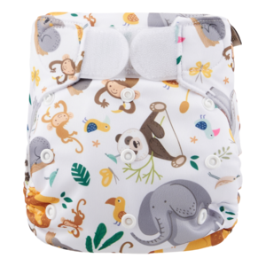 Zwemluier | Klittenband | Wild animals