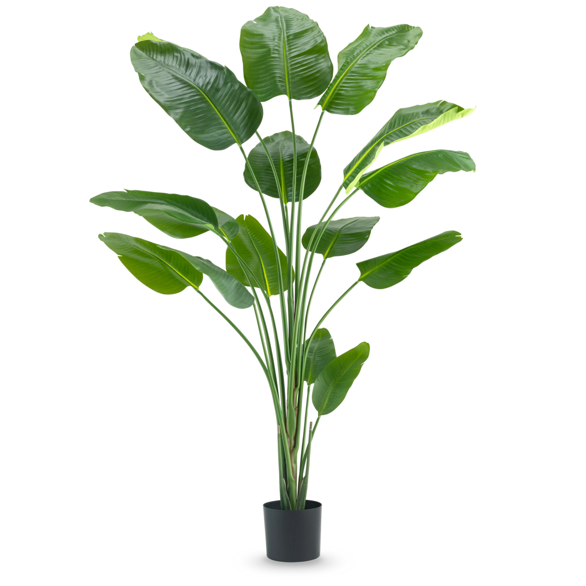 Kunstpflanze Strelitzia 210 cm Real Touch