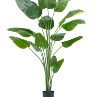 Artificial plant Strelitzia 210 cm real touch