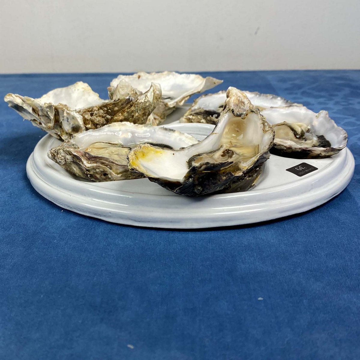 Oyster Plate | serving Tray | Ceramic | Handmade | 6 oysters