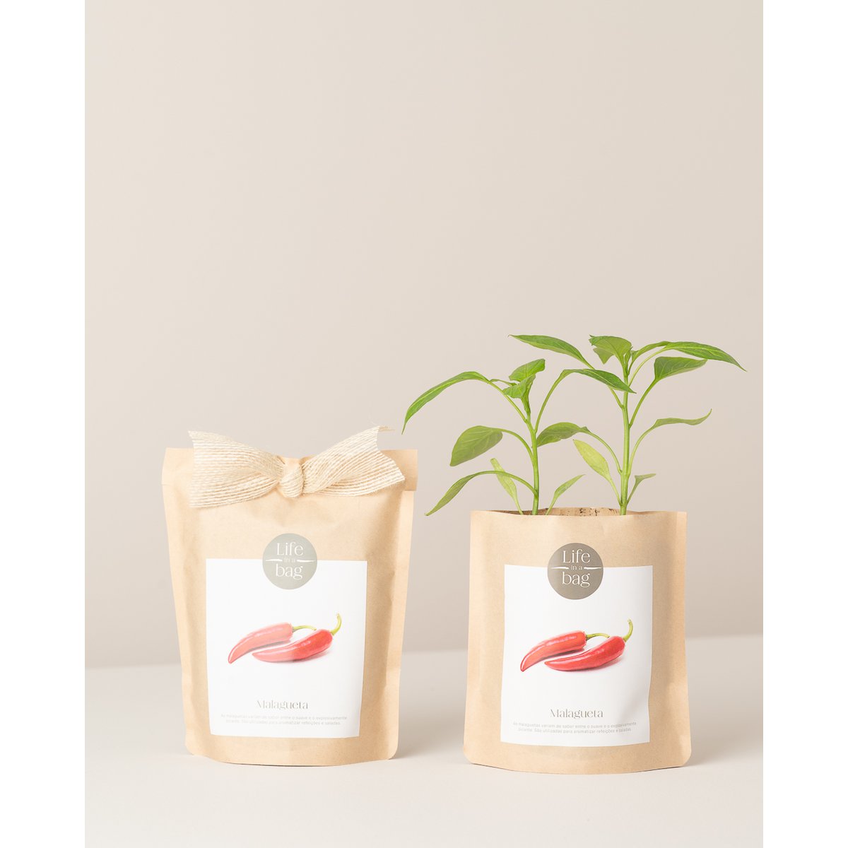 Grow Bag Chili pepper
