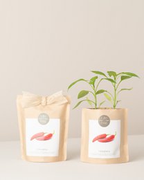Crea peperoncino di peperoncino