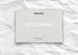 Opstrijktransfer “Expelliarmus” – DTF-transfer, zwart/wit