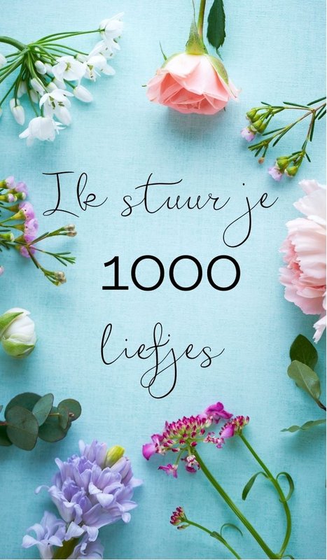 Minikarte '1000 Lieblinge'