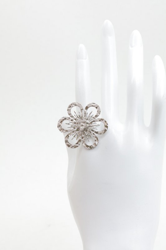 Adjustable stainless steel ring