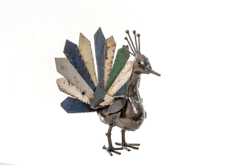 METALEN NATUURLIJKE PAUW