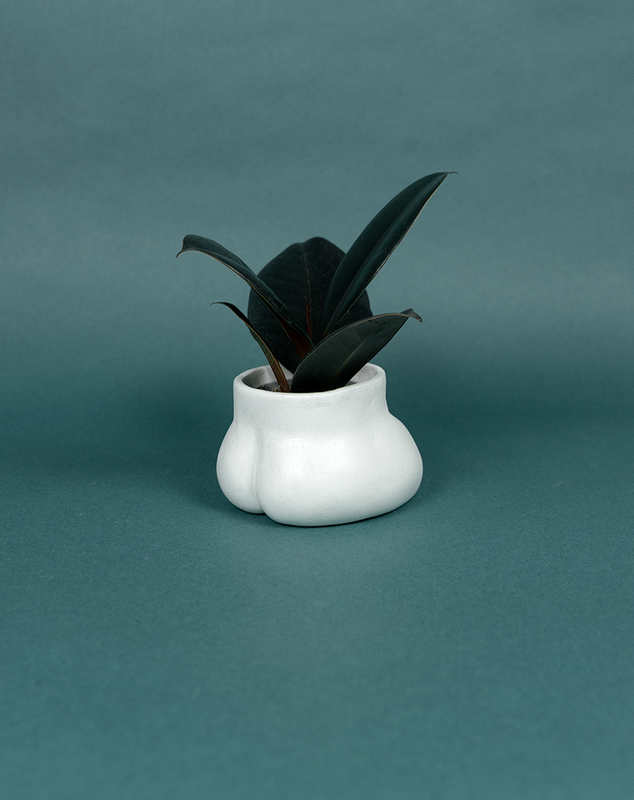 POT HIDE - MINI NALGAS