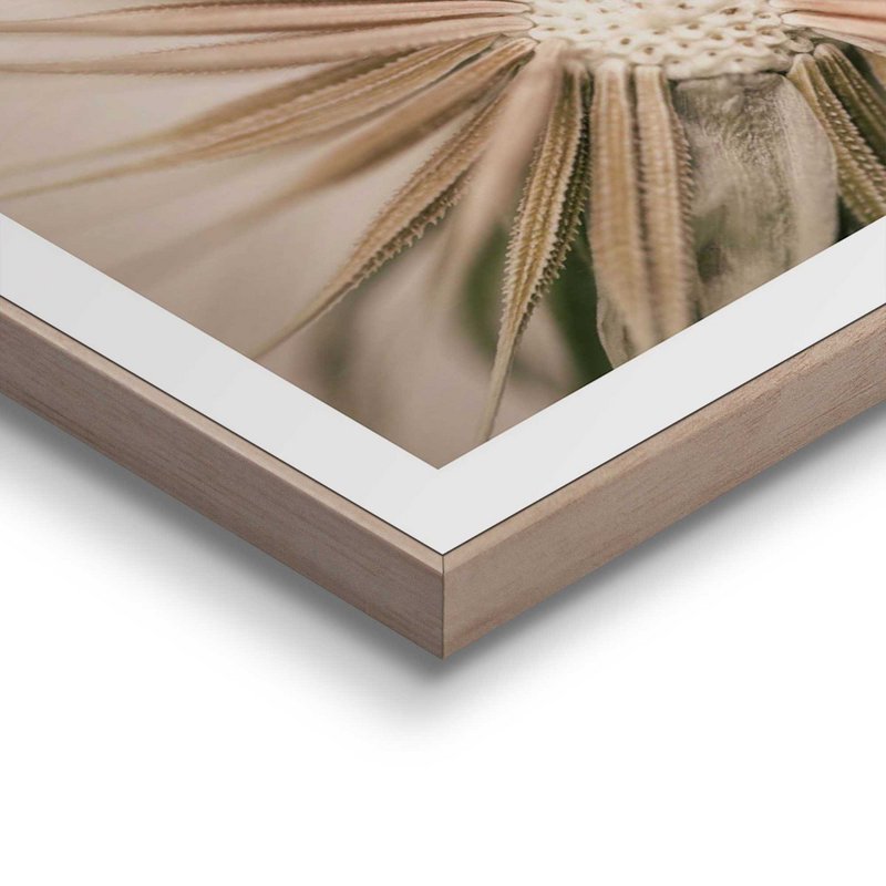 Painting Slim Frame Dandelion 50x40
