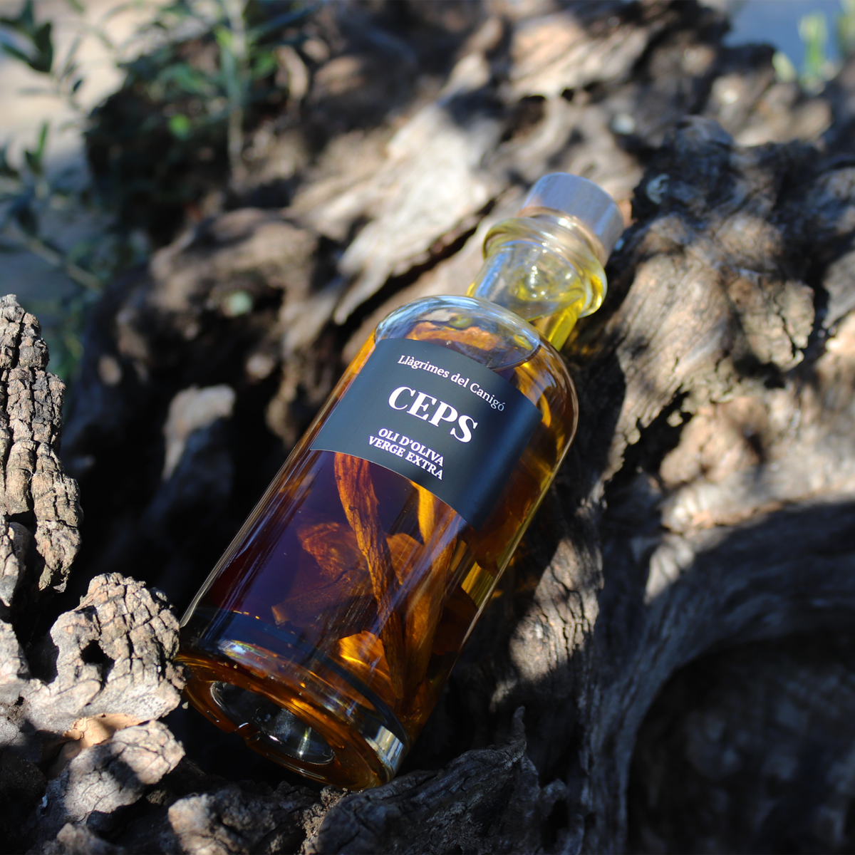 Aceite de Oliva con Boletus - 250ml