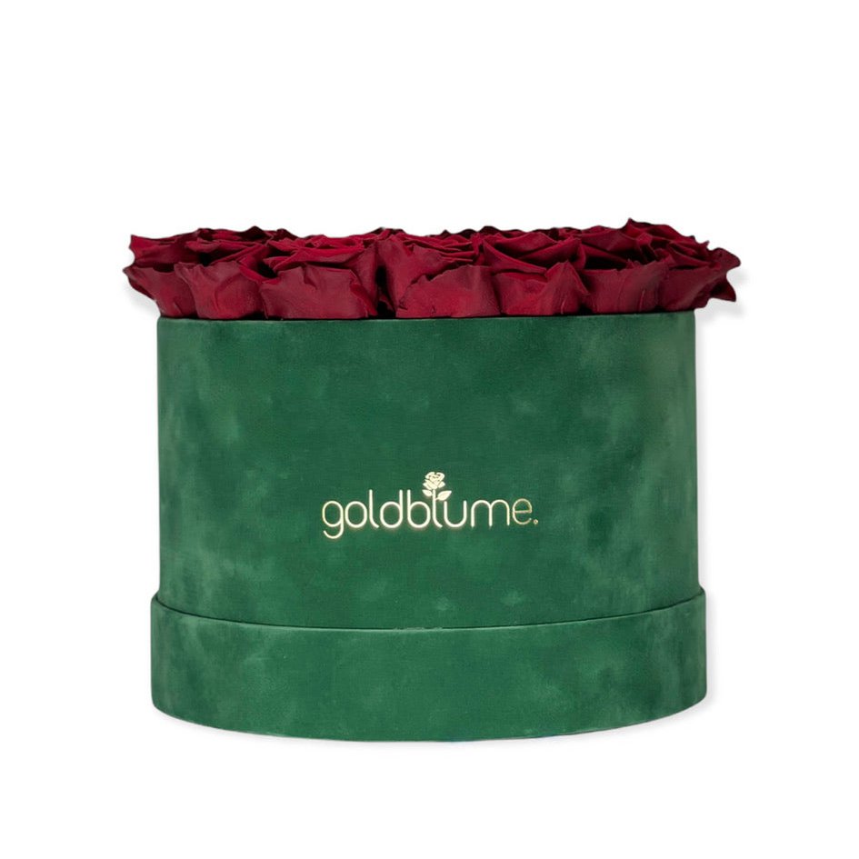 Velvet Green Collection