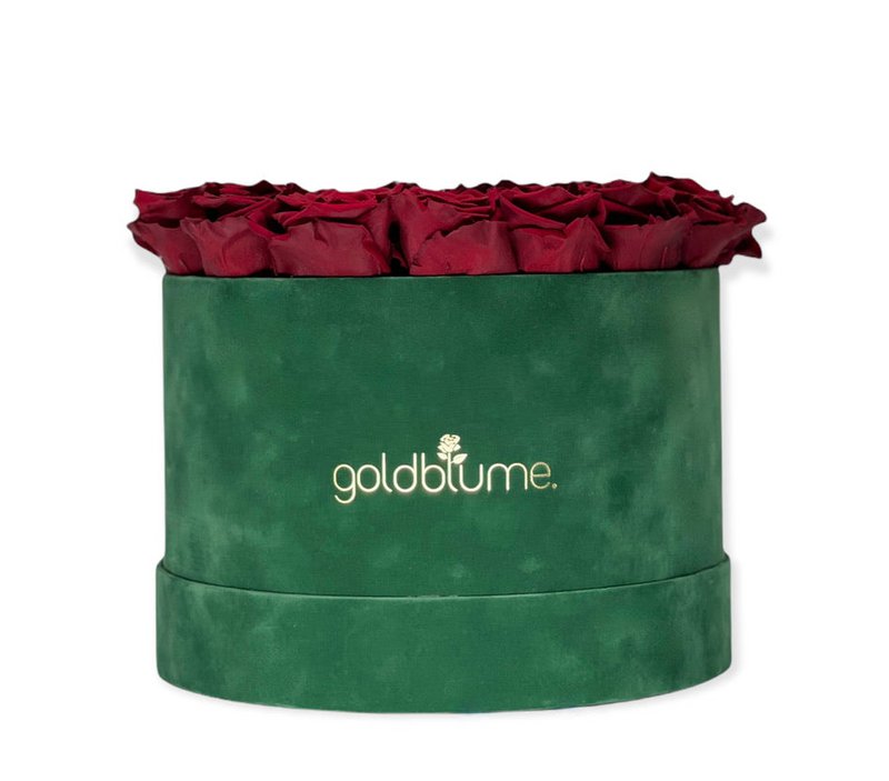 Velvet Green Collection