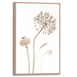 Gerahmtes Bild Slim Frame Trockenblumen 30x20