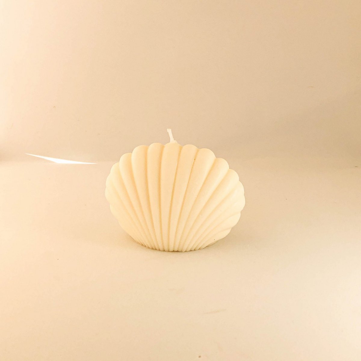 Muschelkerze