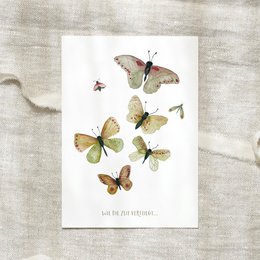 Postkort · sommerfugle