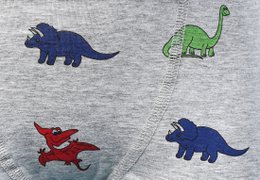2er-Pack, Short, Dinosaurier