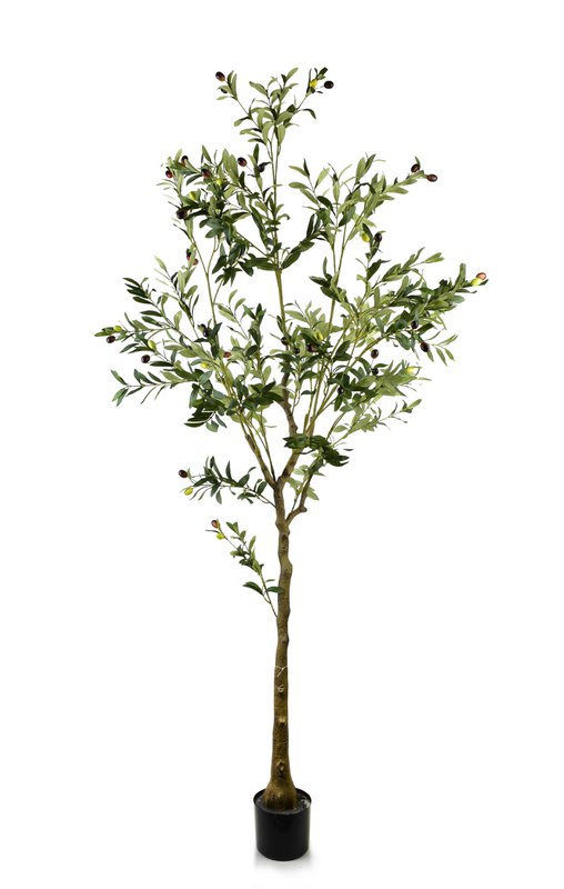 Künstlicher Olivenbaum OLIVEN Grün H180cm