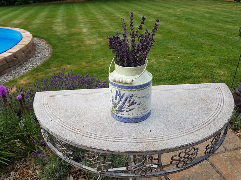 Lavender - milk jug