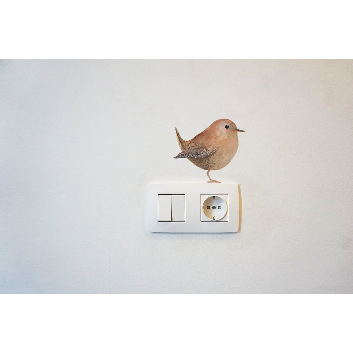 Wall sticker wren