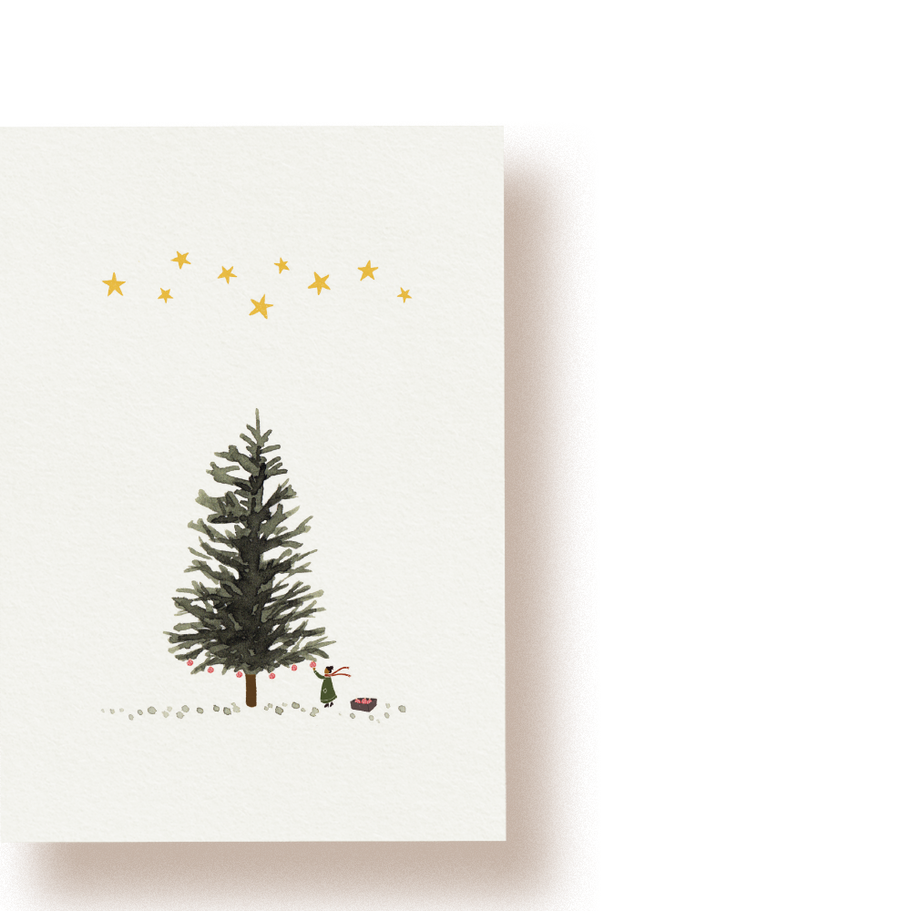fir tree | postcard