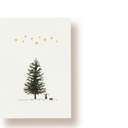 fir tree | postcard