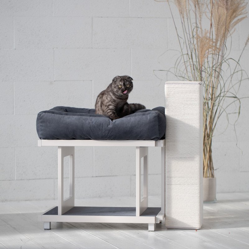 TUJA - one level cat house
