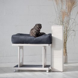 TUJA - maison pour chat à un niveau