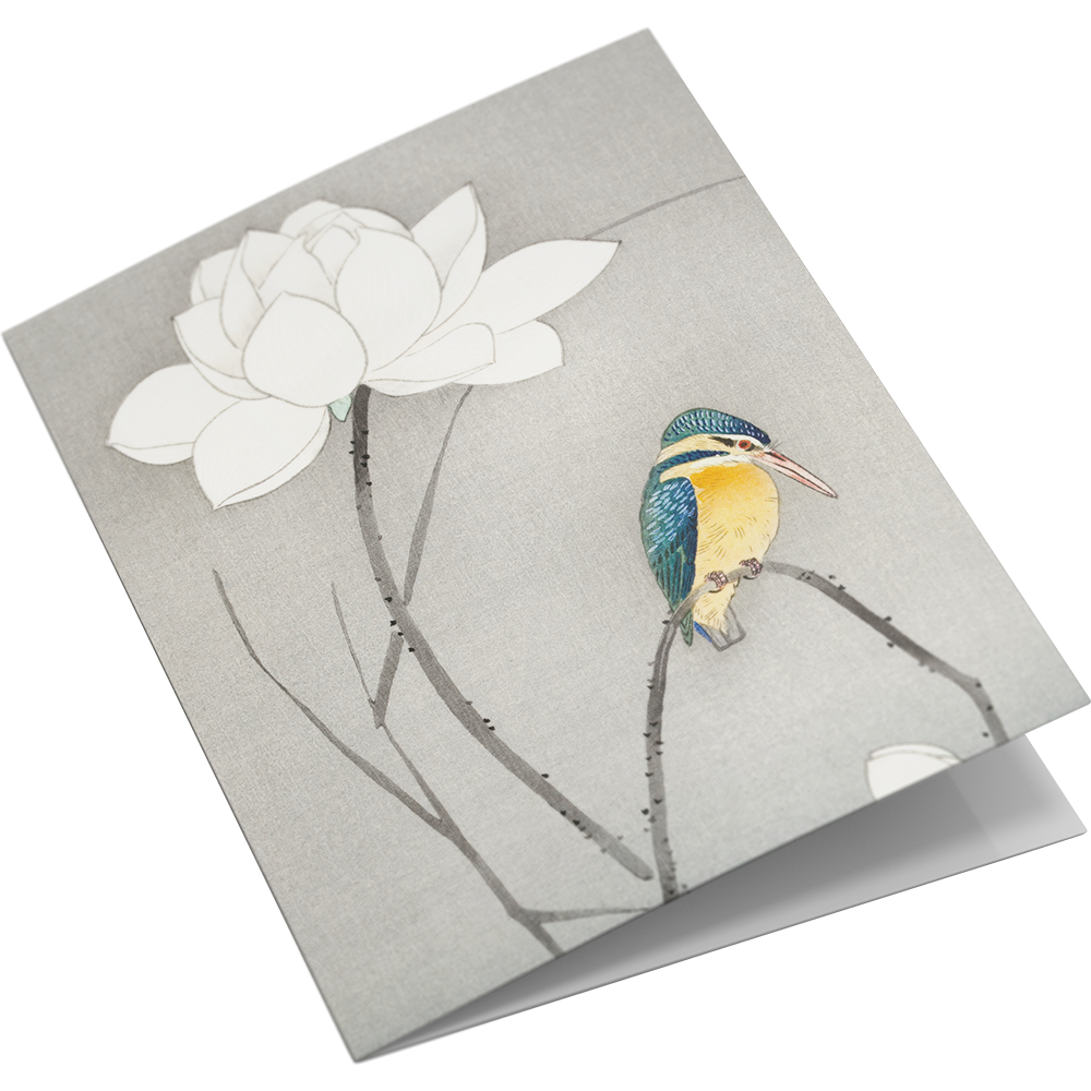 Set di biglietti d'auguri Stampe di uccelli