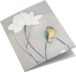 Grußkarten-Set Vogeldrucke