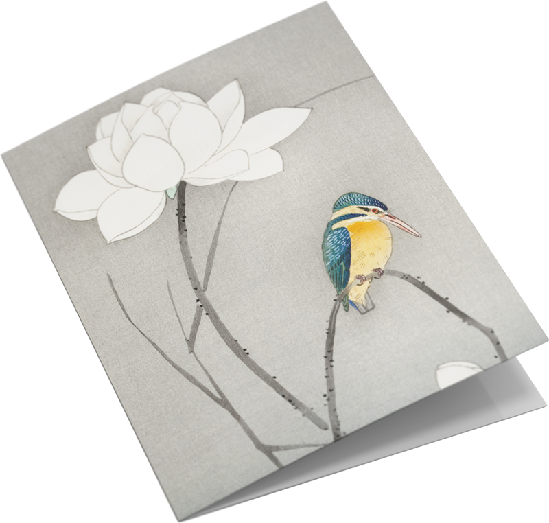 Grußkarten-Set Vogeldrucke