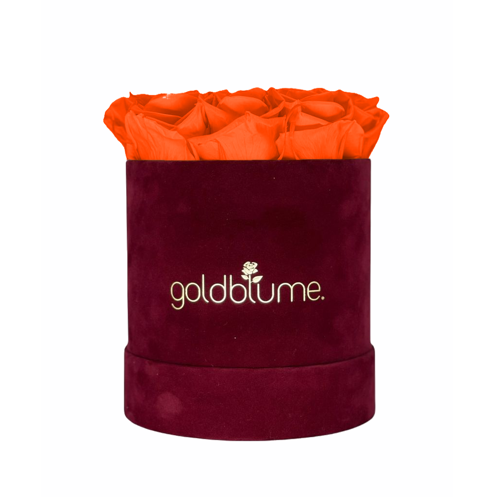 Collection Velours Bordeaux