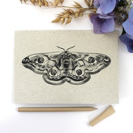 Vouwkaart van graspapier, Peacock Moth