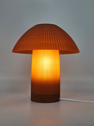 Natürlicher Pilz