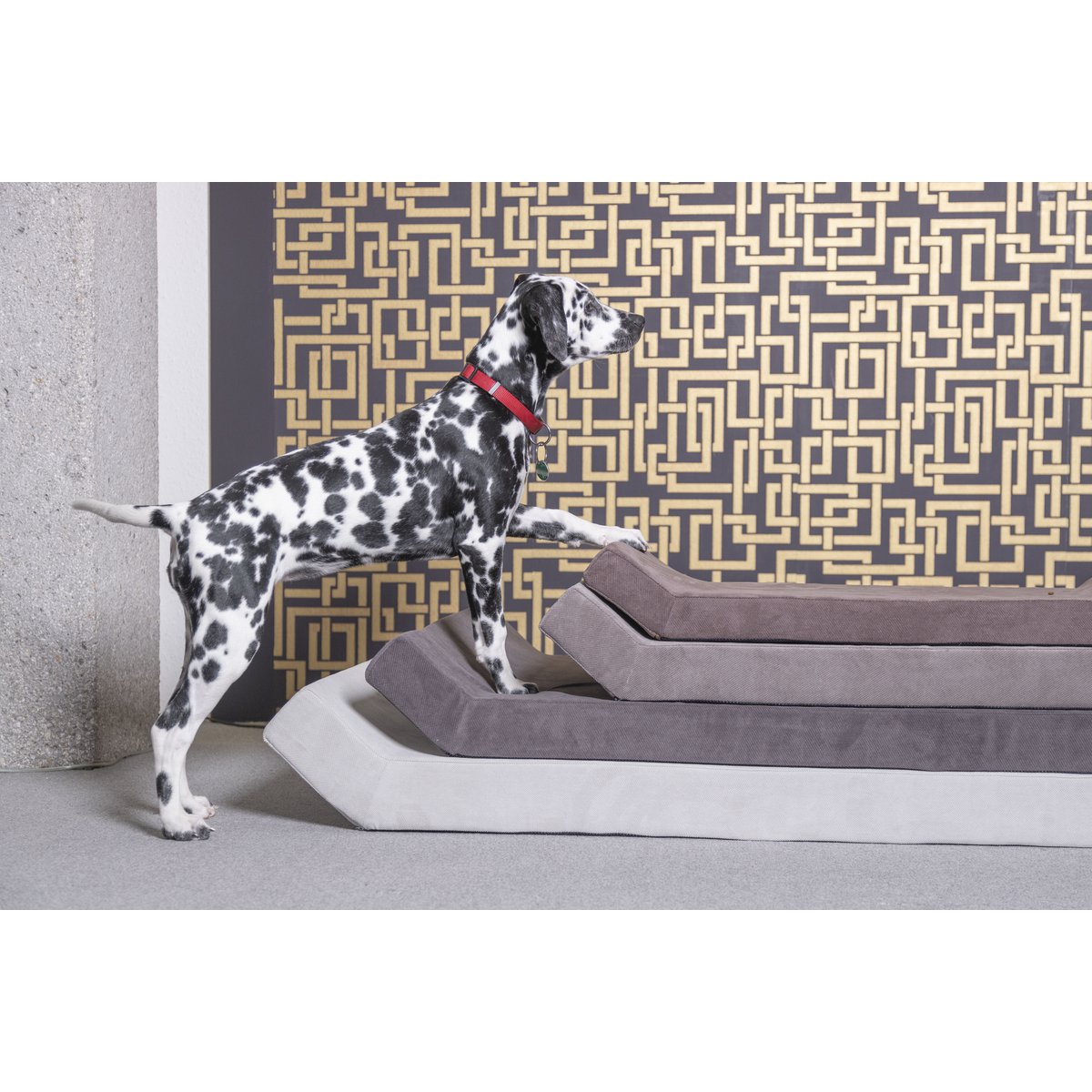 Mattress (COMFORT FOR ARCTURUS BED)