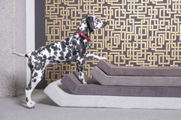 Mattress (COMFORT FOR ARCTURUS BED)