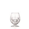 COCKTAIL-COGNAC GLASS 53 CL ALKEMIST