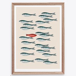 Póster escuela de peces