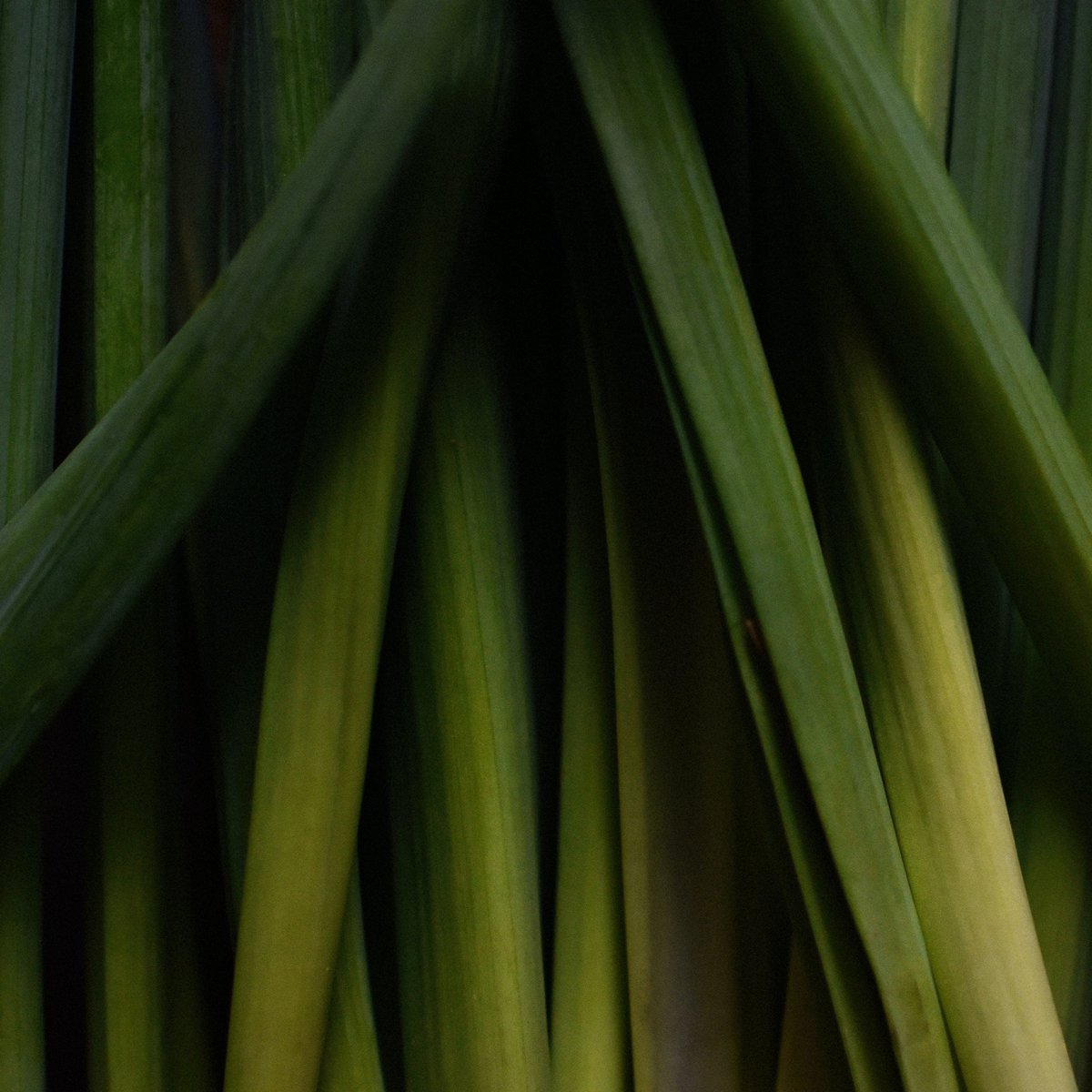 Fragrance candle "Lemongrass" - refreshing & vitalizing