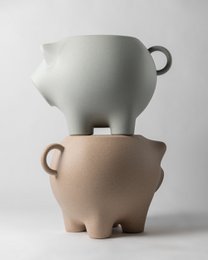 SIDEPIG
