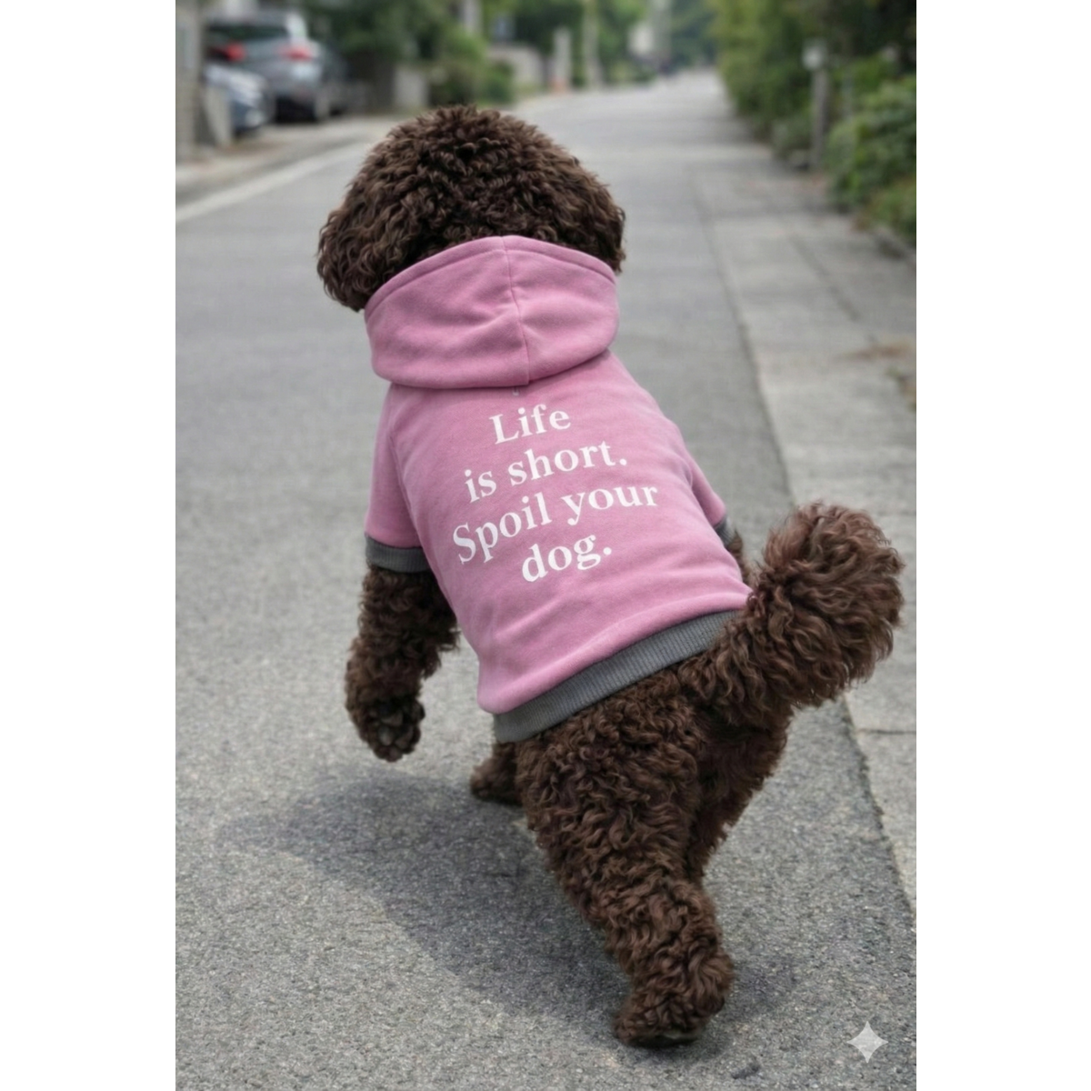 Alpha Dog Short Pink "Spoil Your Dog" Hoodie (5-Pc Set)