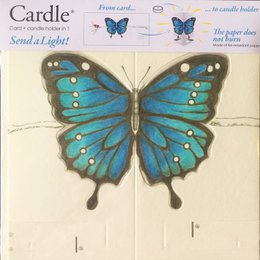 CARDLE Butterfly Blue (Bright Butterfly) - Kaarshouder Wenskaart