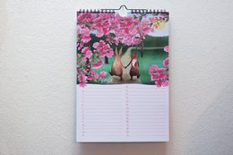 Kalender Unterwegs mit Fuchs