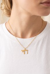 Roestvrij stalen ketting