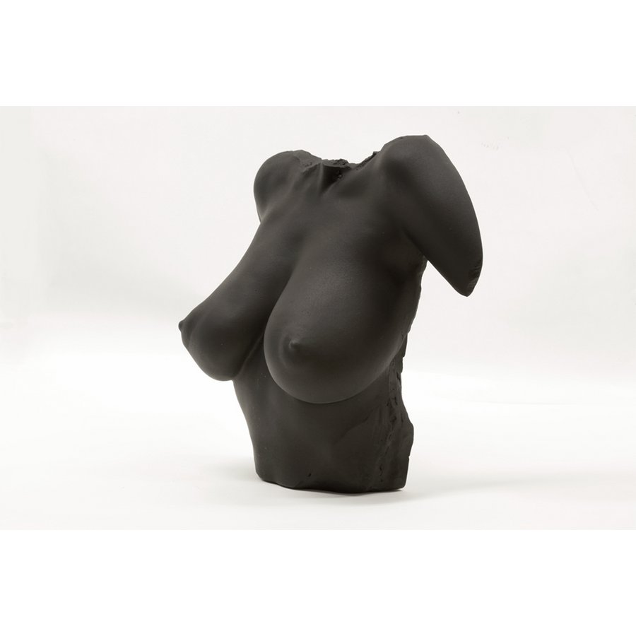 Black Venus af Berlin