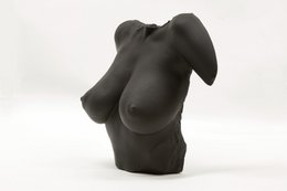Black Venus af Berlin