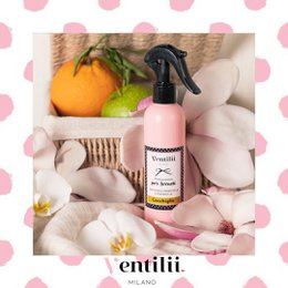 Home perfume Conchiglie 250ml - Ventilii Milano