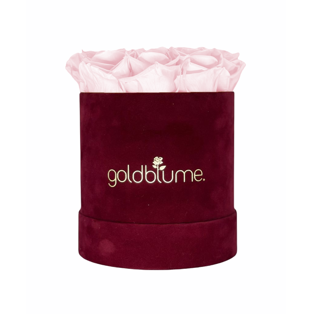 Collection Velours Bordeaux