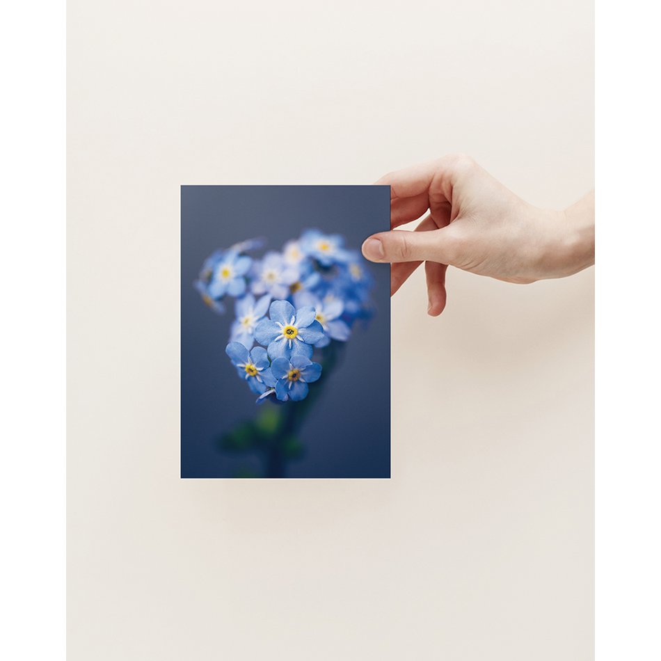 Postkarte Grußkarte Vergissmeinnicht (PK_077)