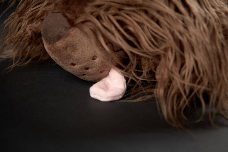 Zottle Lottle, Beaststown